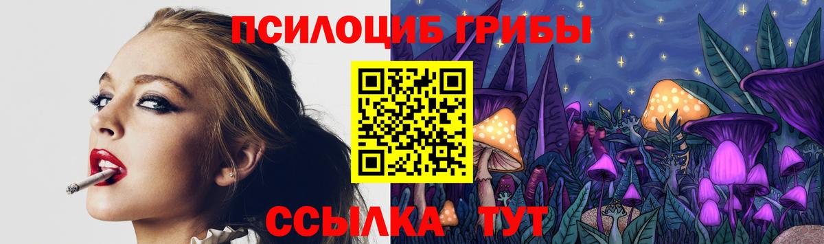 Камышлов  Галлюциногенные грибы GOLDEN TEACHER  Вход с VPN  Псилоцибиновые грибы мухоморы 